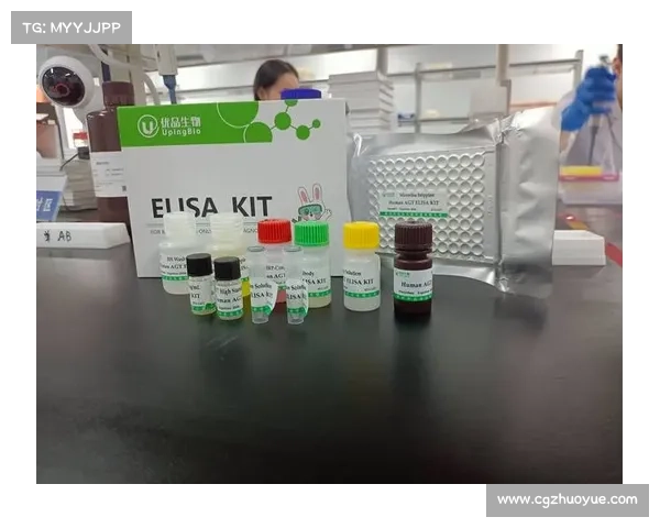 期胆功能与应用研究:从基础机制到临床前景的多维度探索 期胆功能与应用研究:从基础机制到临床前景的多维度探索